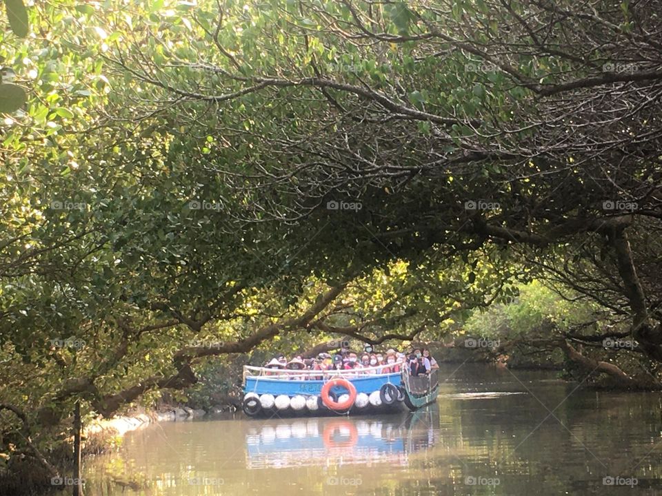 Amazon forest in Taiwan 