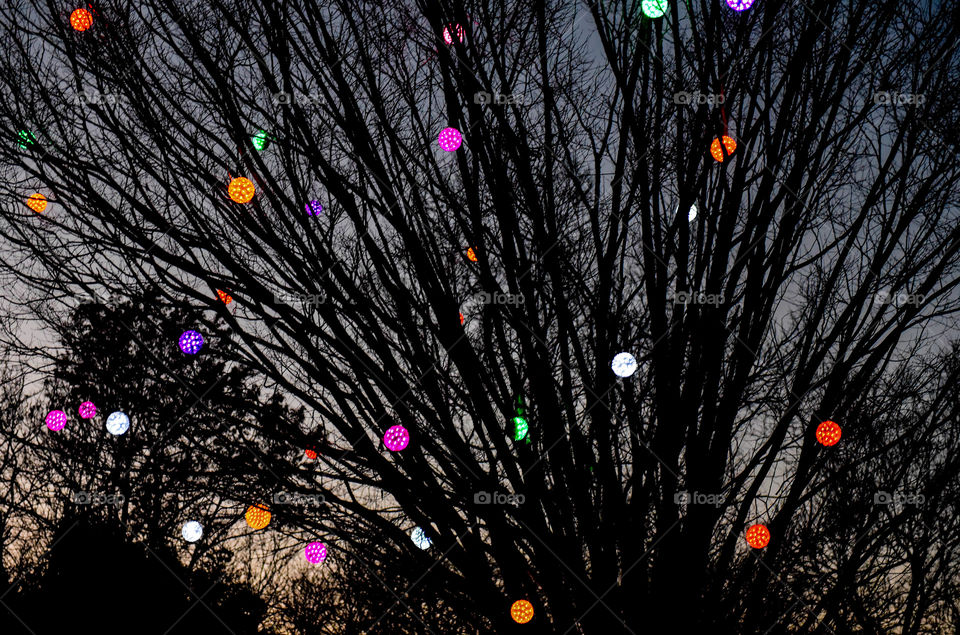 Tree outdoors during nighttime with illuminated balls hanging from its branches