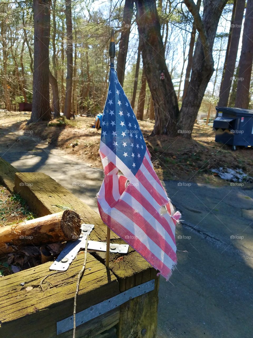 A small sized USA Flag stuck in the garden that survived the Winter, it's a tattered, weathered flag now but still standing strong!