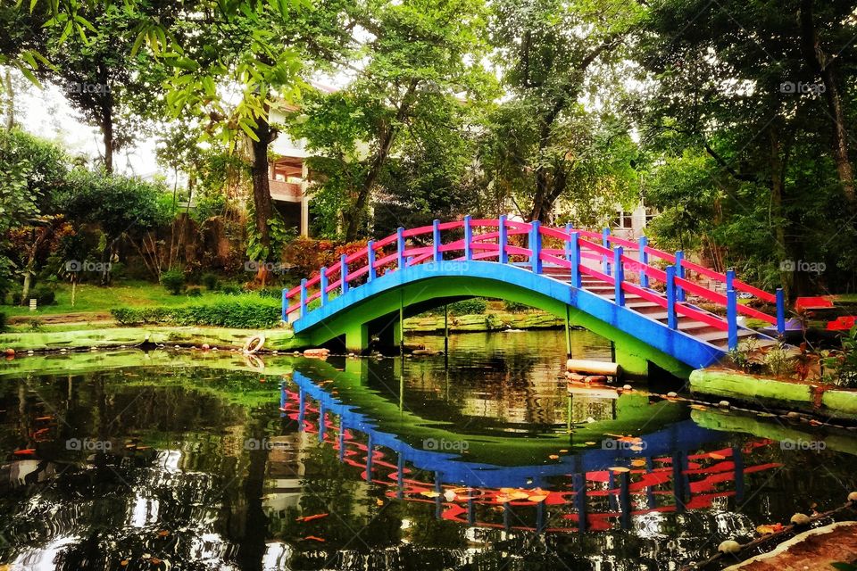 a bridge in the park