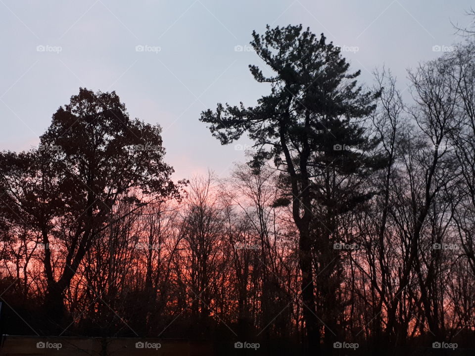 Another pink winter sunrise on a Friday.