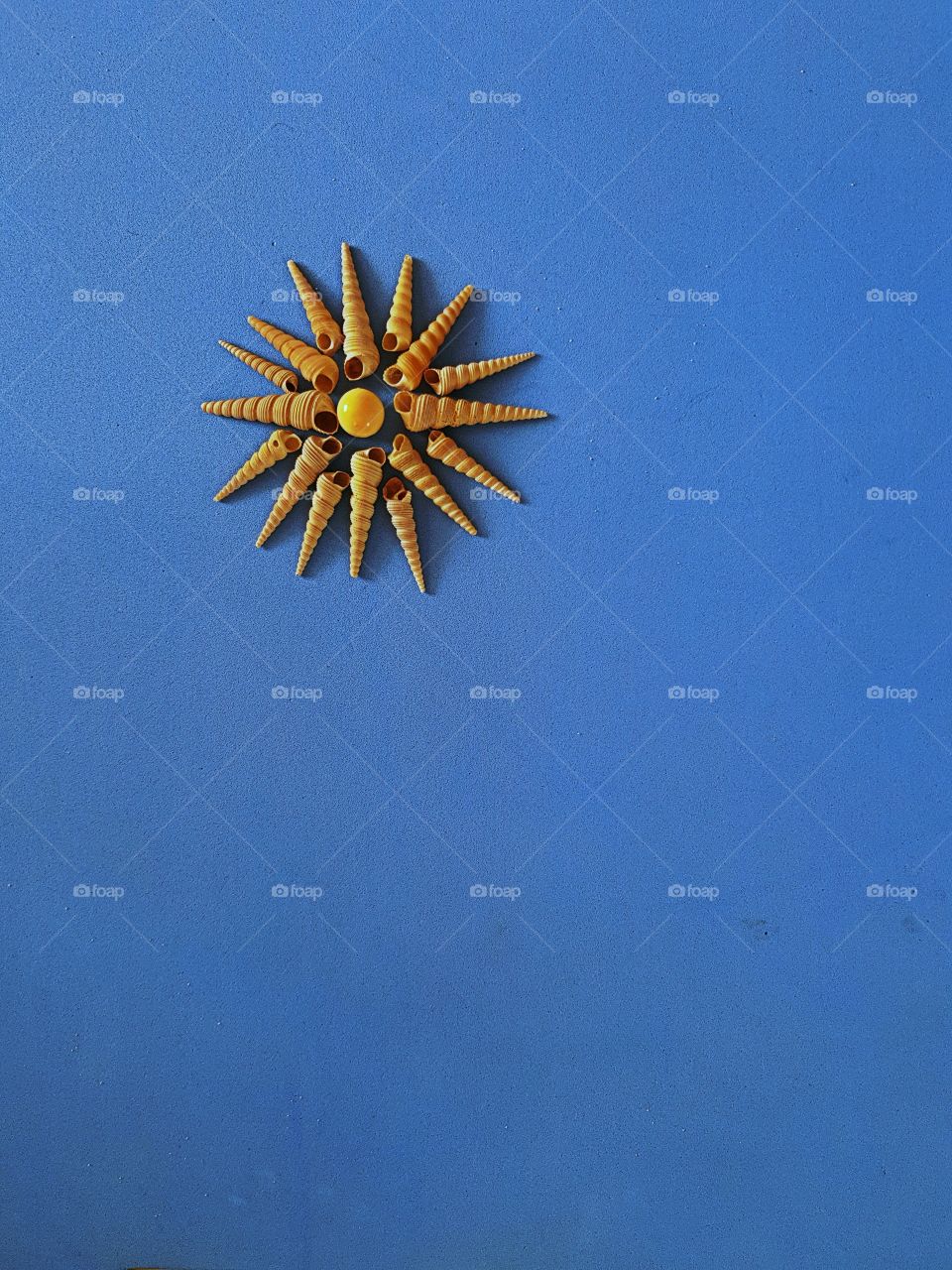 16  Rays Seashells  Sun