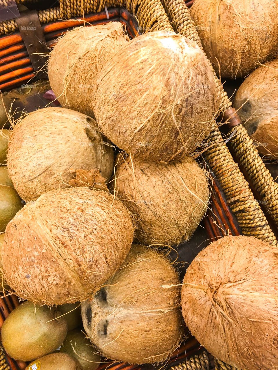 Coconuts