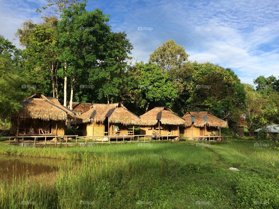 Huts on the paddy fields Malaysia