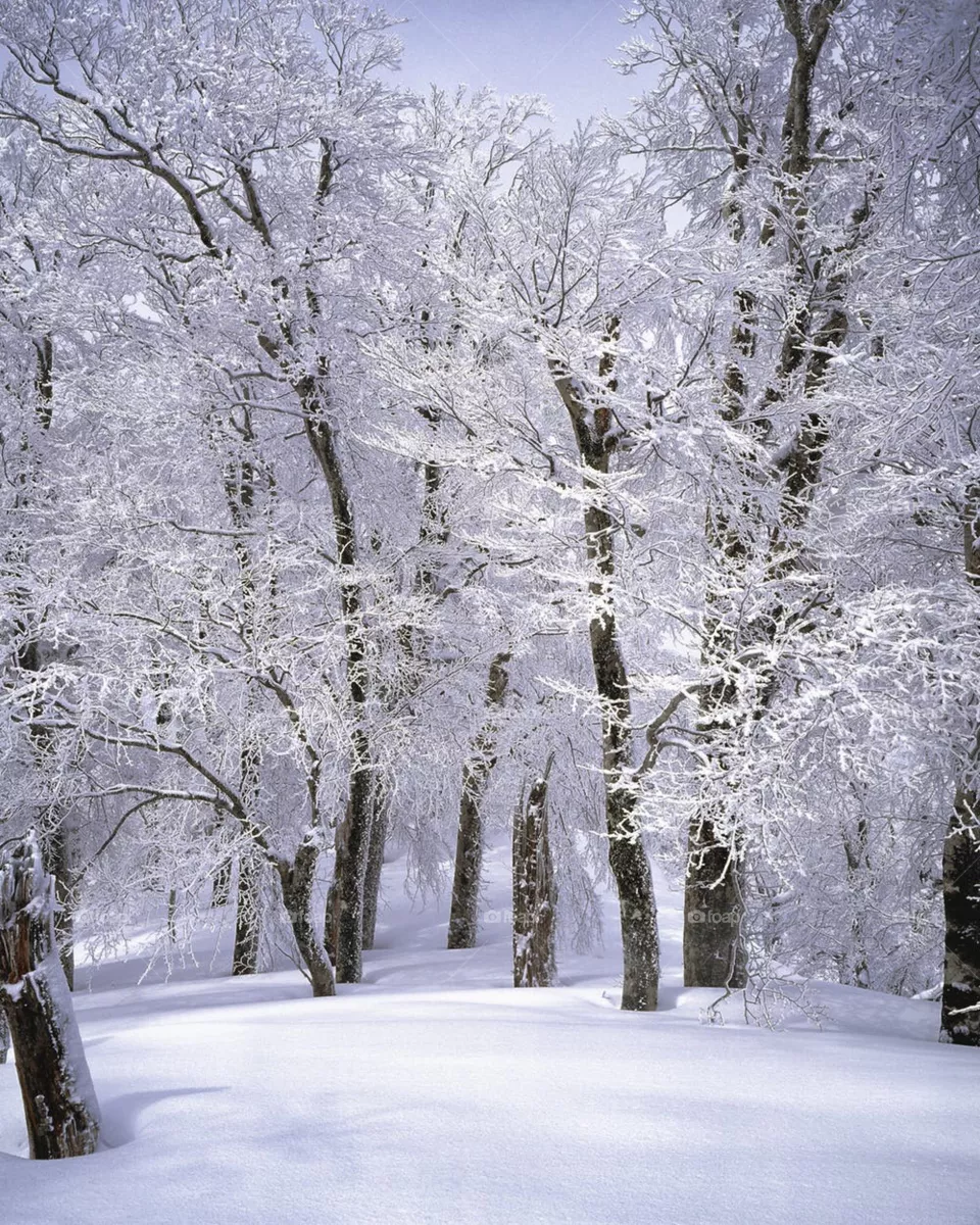 winter