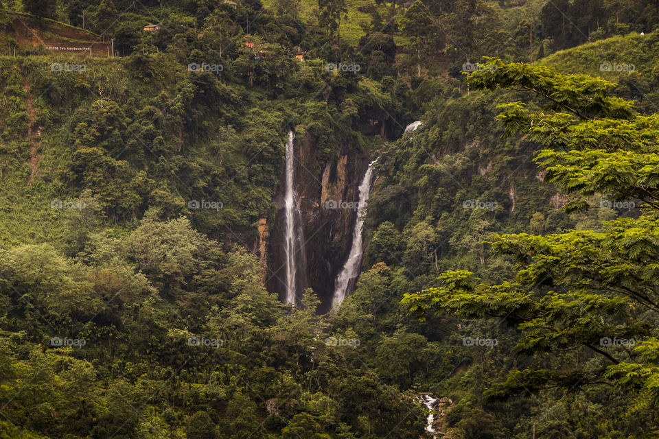 let the vacation begin