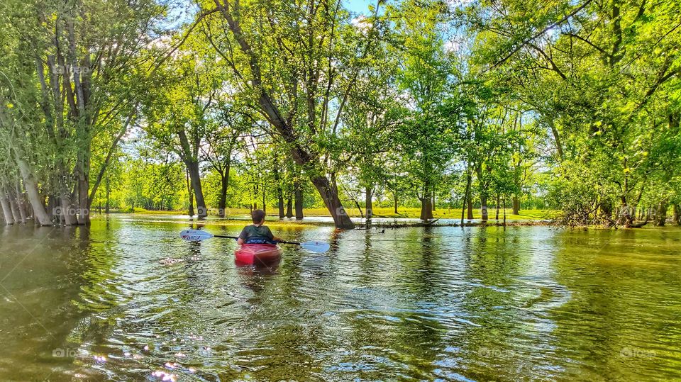 Boy kayaks in flooded forest