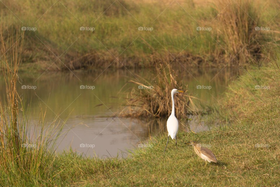 Nature is so beautifull capture it because every moment nature is changed