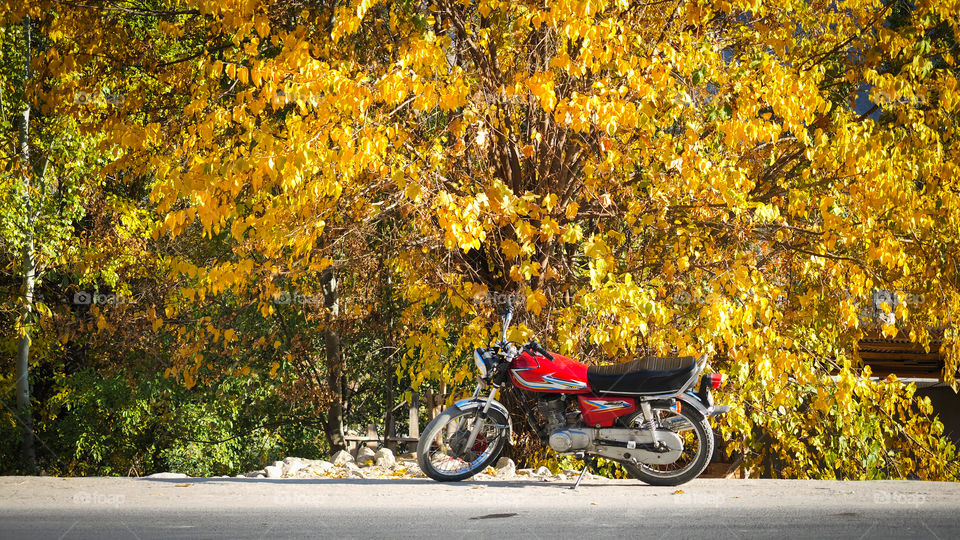 red motorcycle and autumn color change