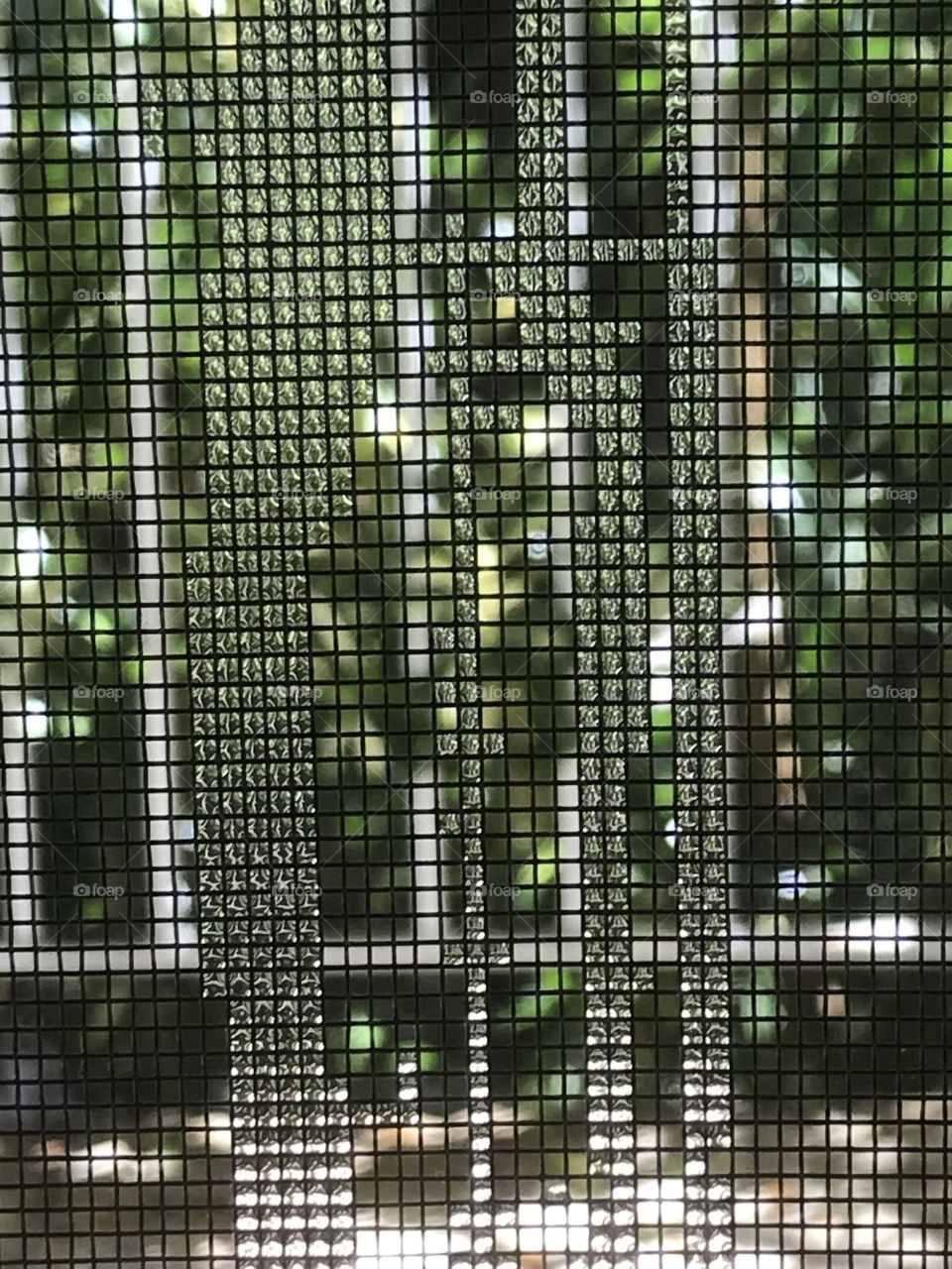 Raindrops entangled in a window net.