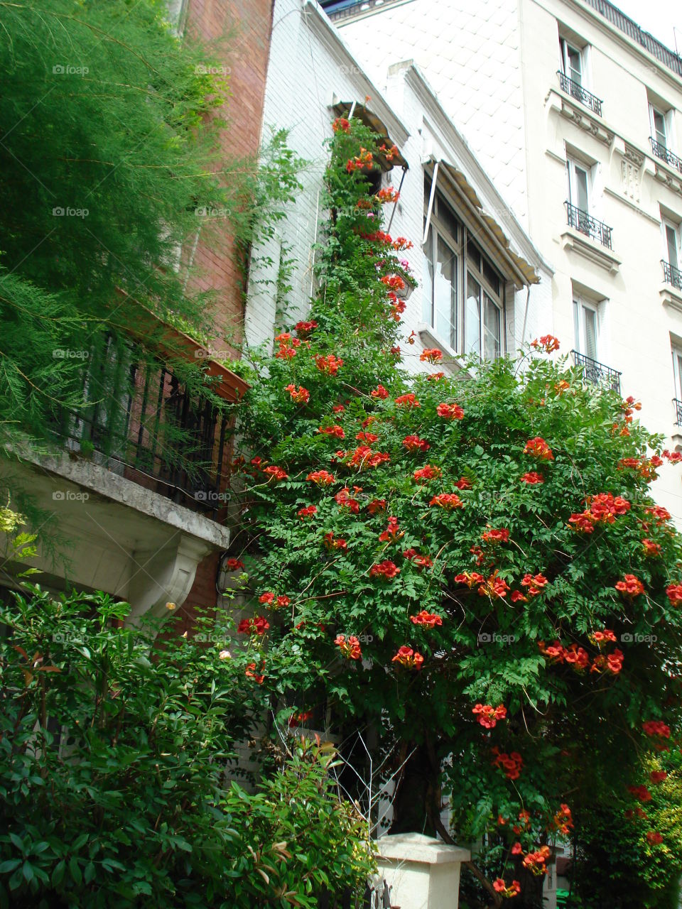 Paris Montmartre district- Residential 