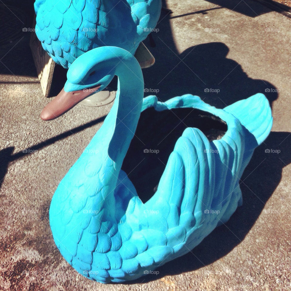 blue vintage swan funny by percypiglet