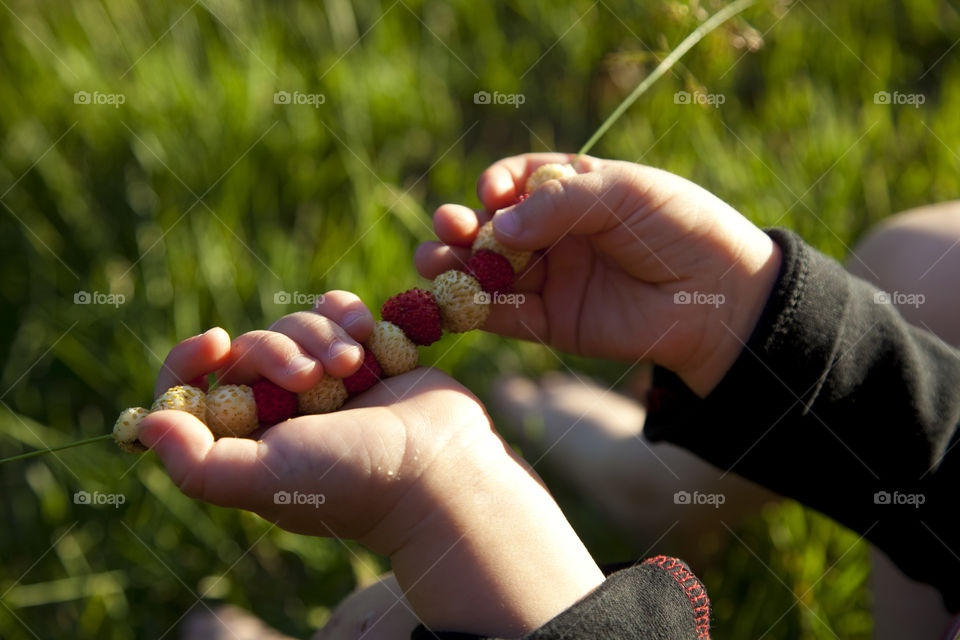 Collecting wild strawberries on a blade of grass