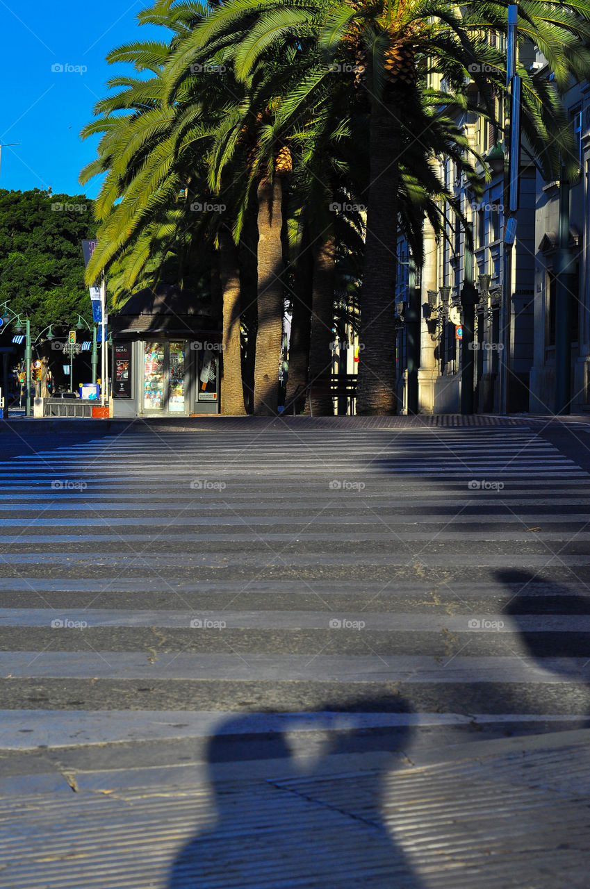 crosswalk in focus, Malaga empty street in the morning 