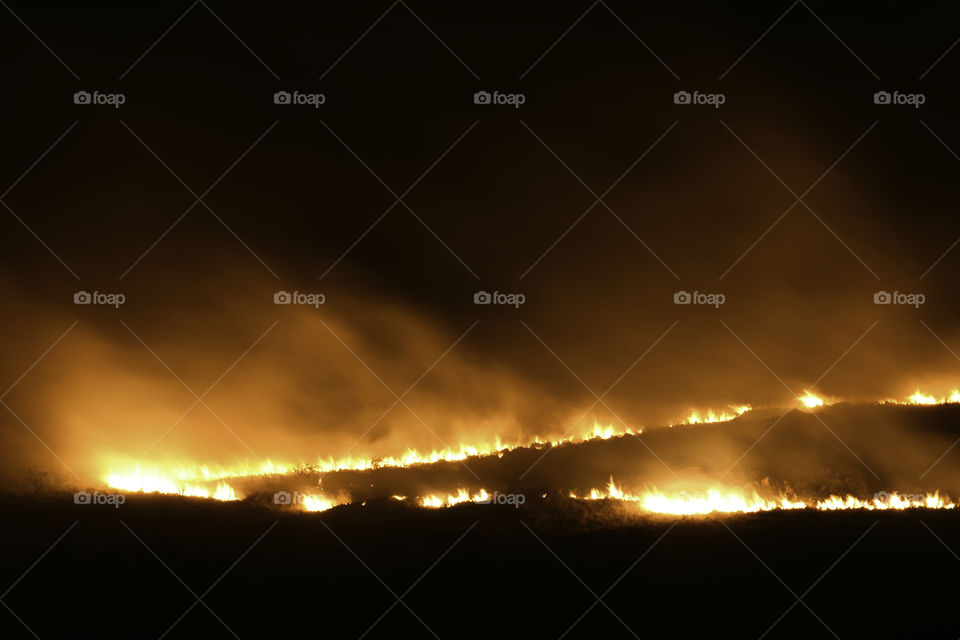 Running Wildfire Burning In Field With Smoke, Pretoria, South Africa