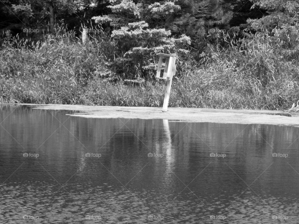 Just enjoying the scenery