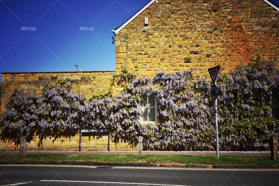 Cottage. Cotswold village