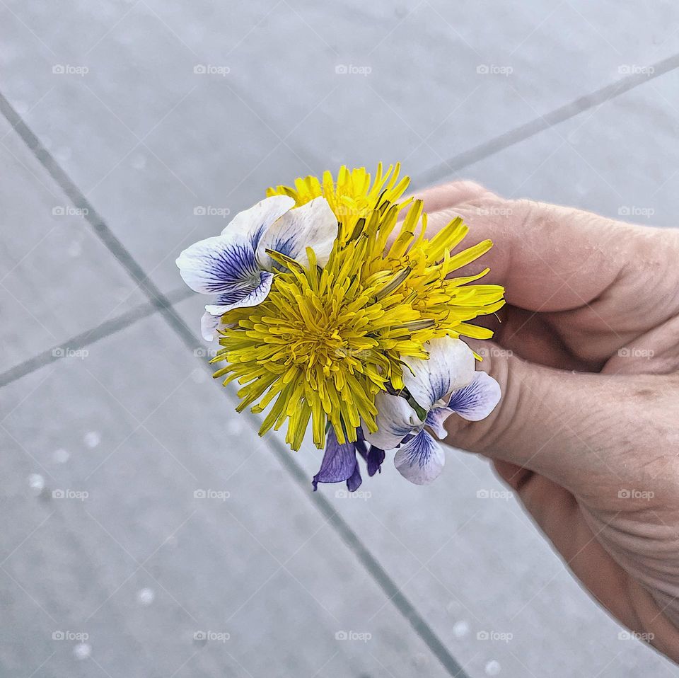 Mother holds tiny flower bouquet that toddler made, toddler picks flowers from the yard, making spring time flower bouquets, backyard bouquets
