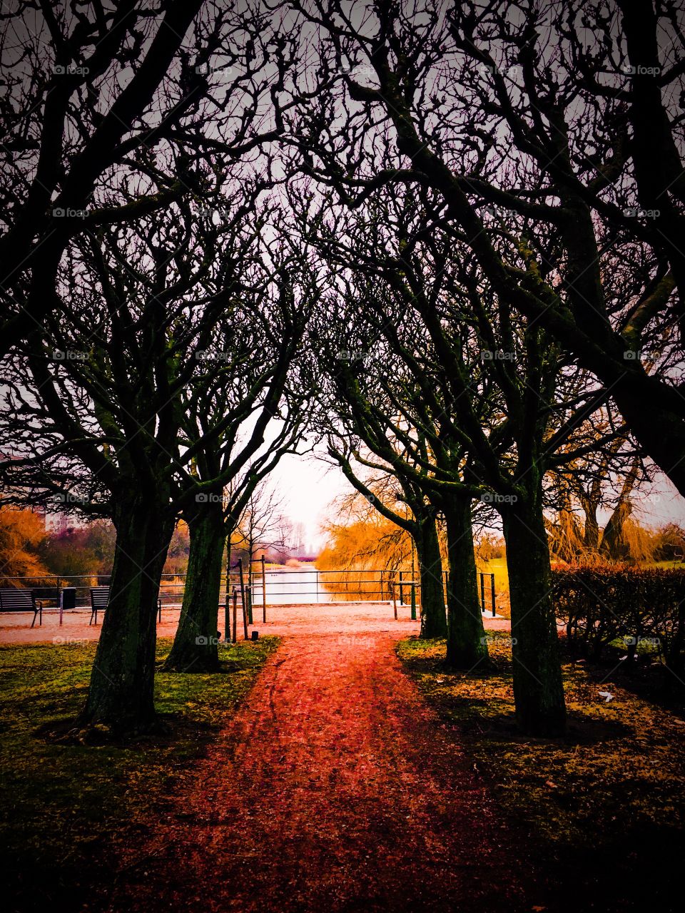 Sidewalk in the park