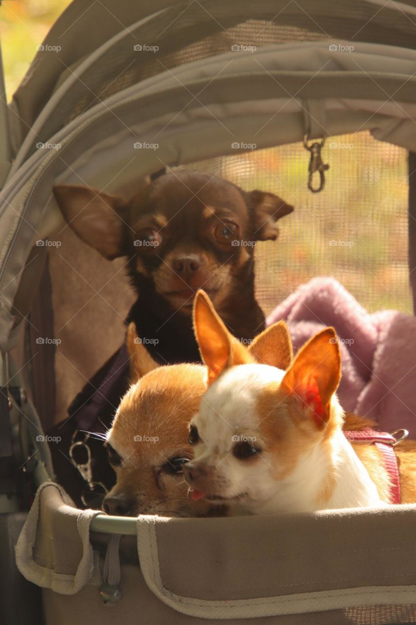 Got my eye(s) on you