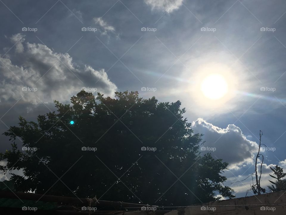 Nature’s tree, sun, sky & clouds 
