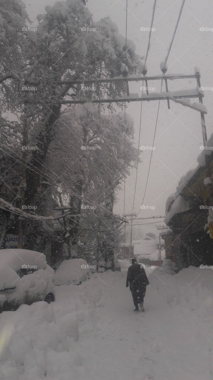 Winter Snowing in Shopian Kashmir