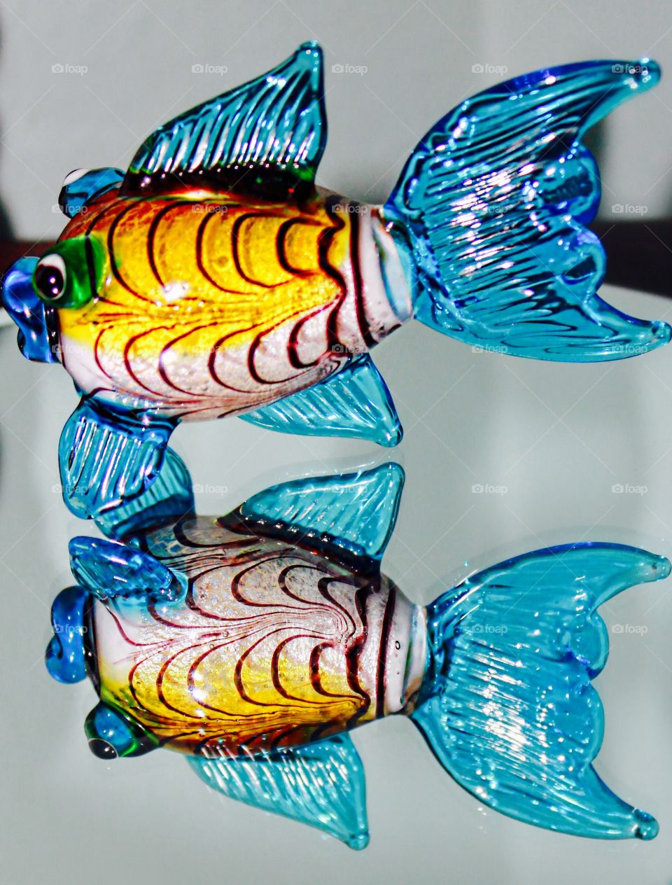 Yellow and aqua fish reflection.