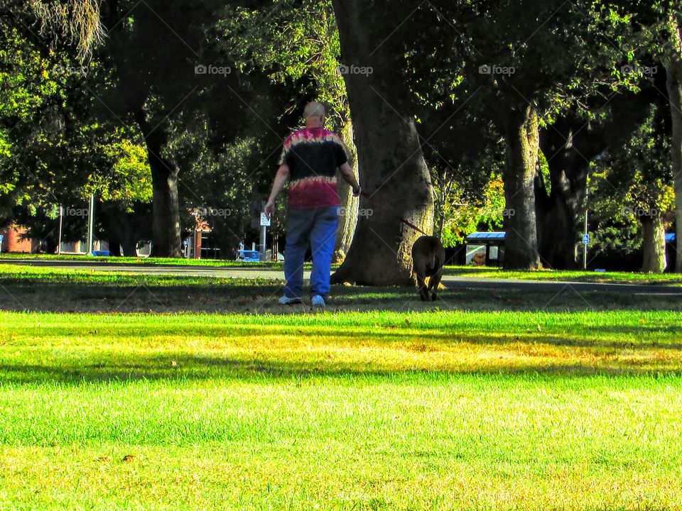 Park, Tree, Grass, Garden, People