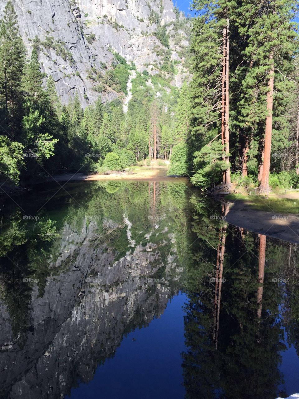 Reflections Yosemite Valley. Beautiful day in Yosemite
