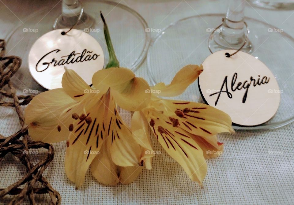 As flores são abundantes, mas a gratidão é escassa. Com tudo isso: Alegra-se!