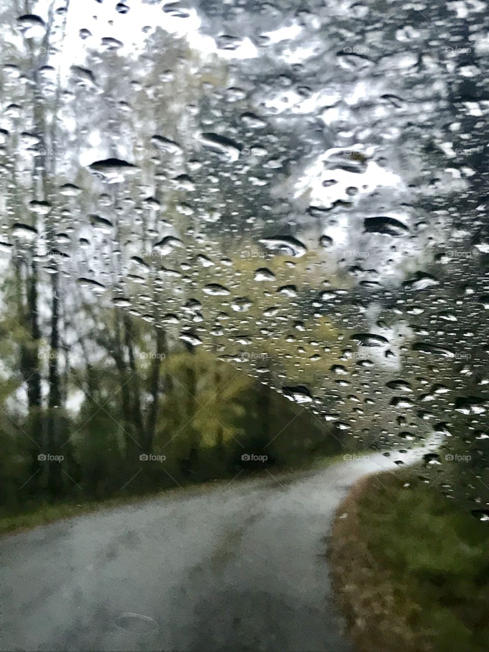 Rainy drive 