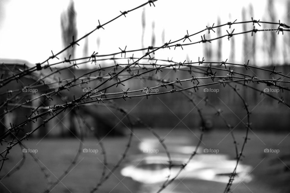Barbed wire at Breendonk