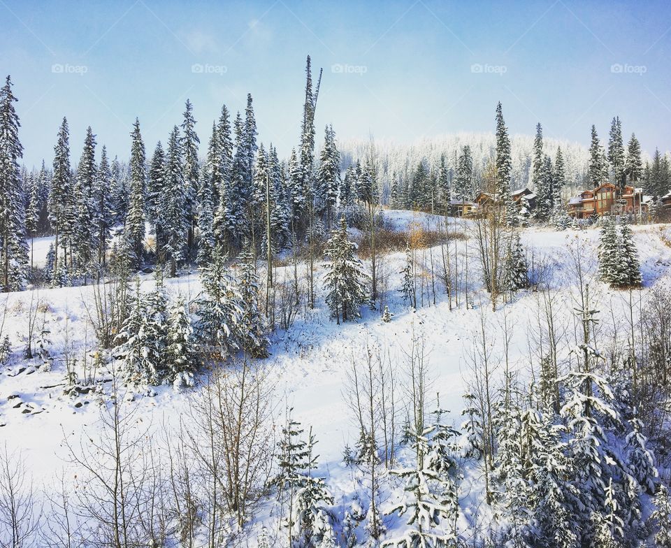 Sun Peaks ski resort! 