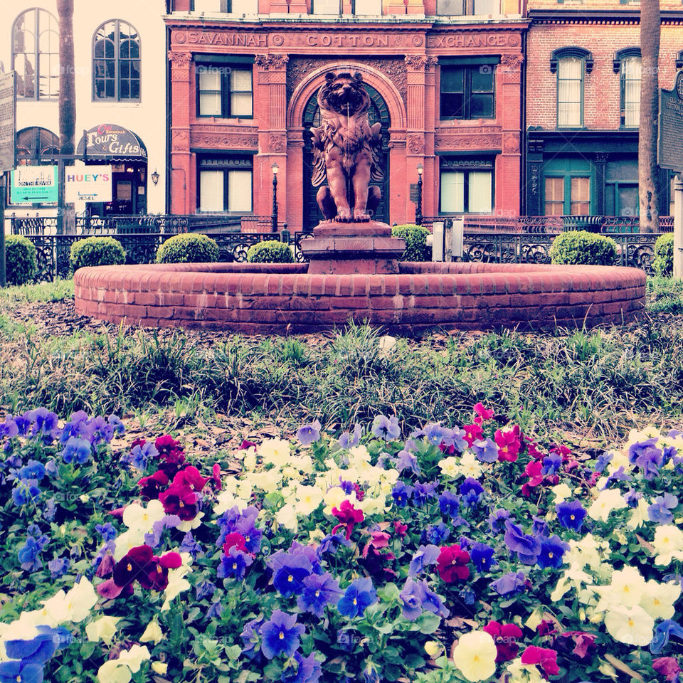 Savannah Cotton Exchange