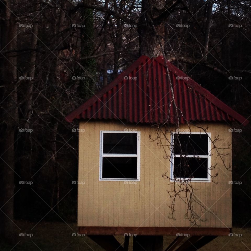 Treehouse. My treehouse