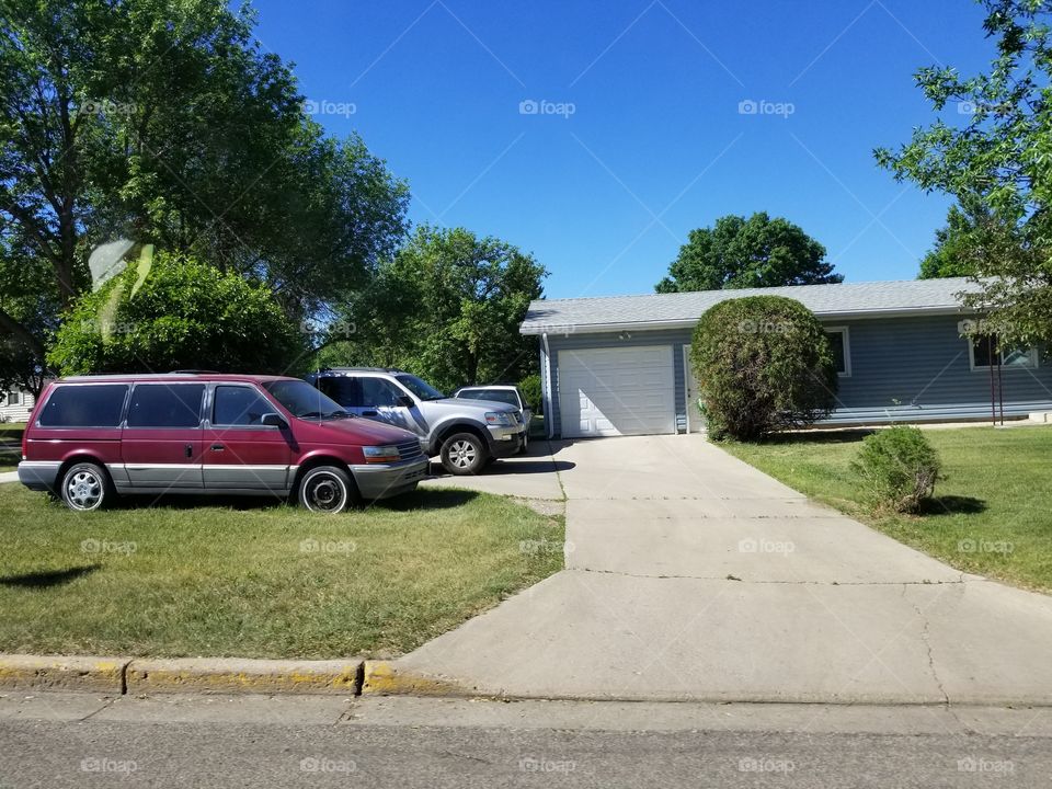 Road, Car, Asphalt, Tree, Pavement