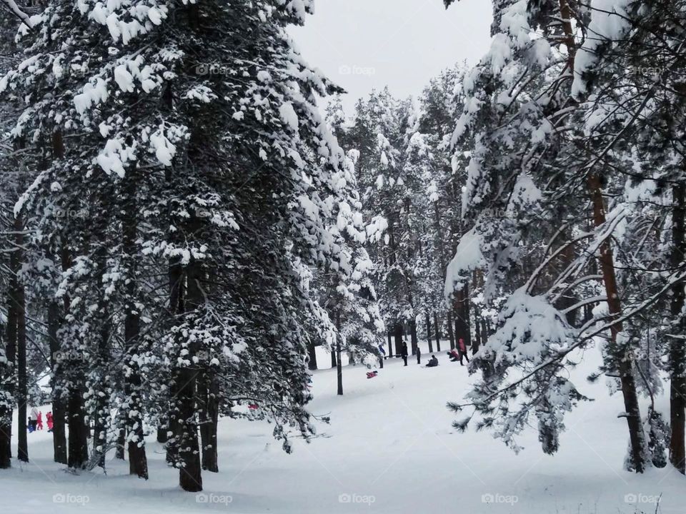 Winter time, photo of the week