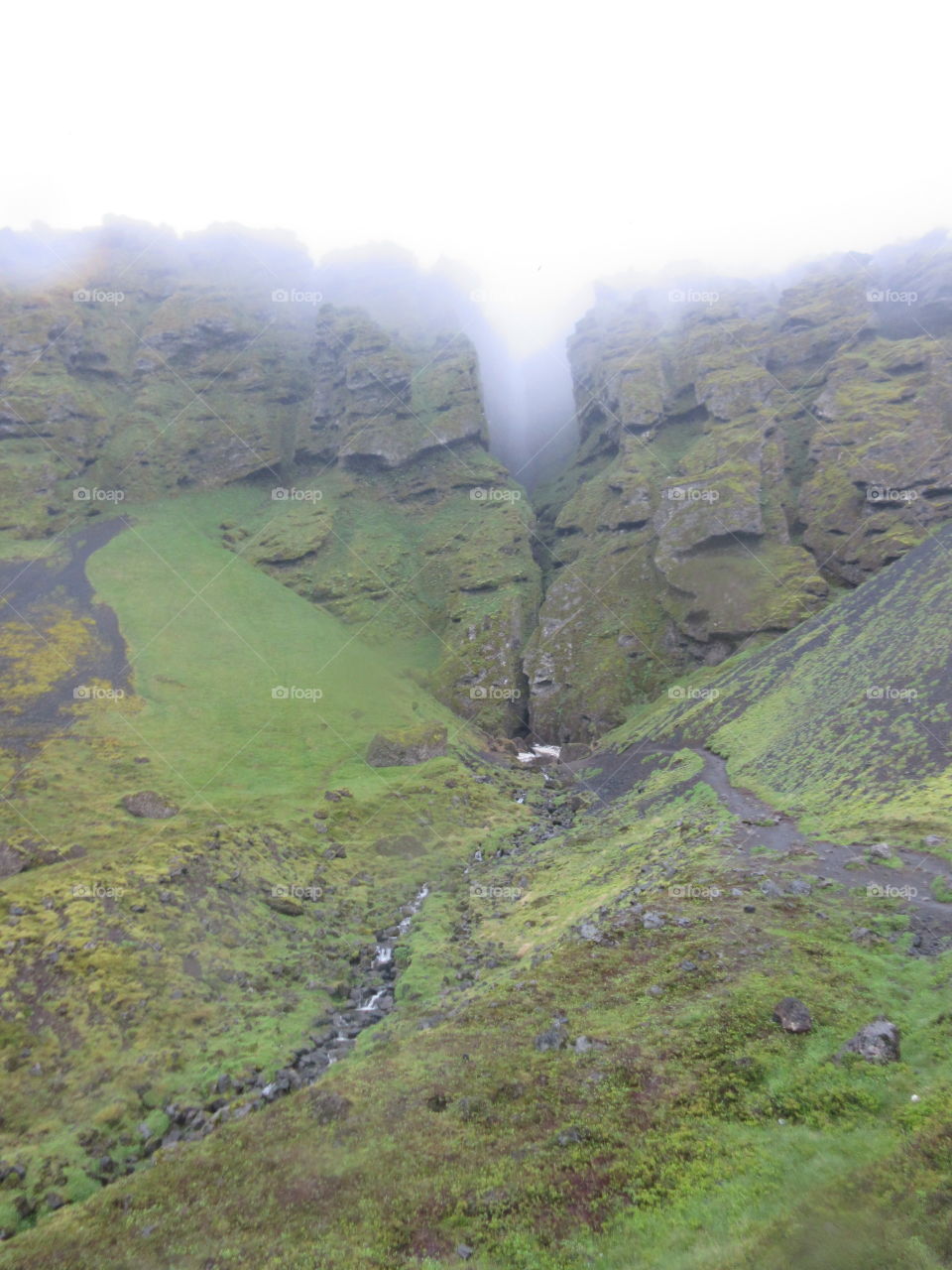 Icelandic landscape with greenery and fog  