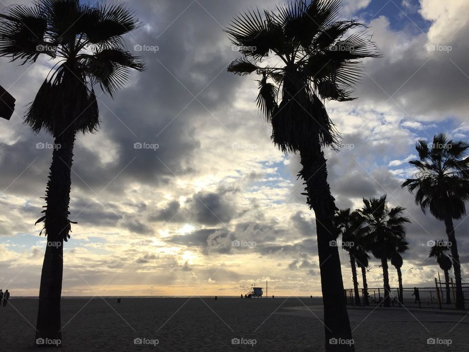 Sunset Venice beach