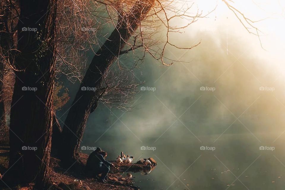 By The Lake - Autumn Time