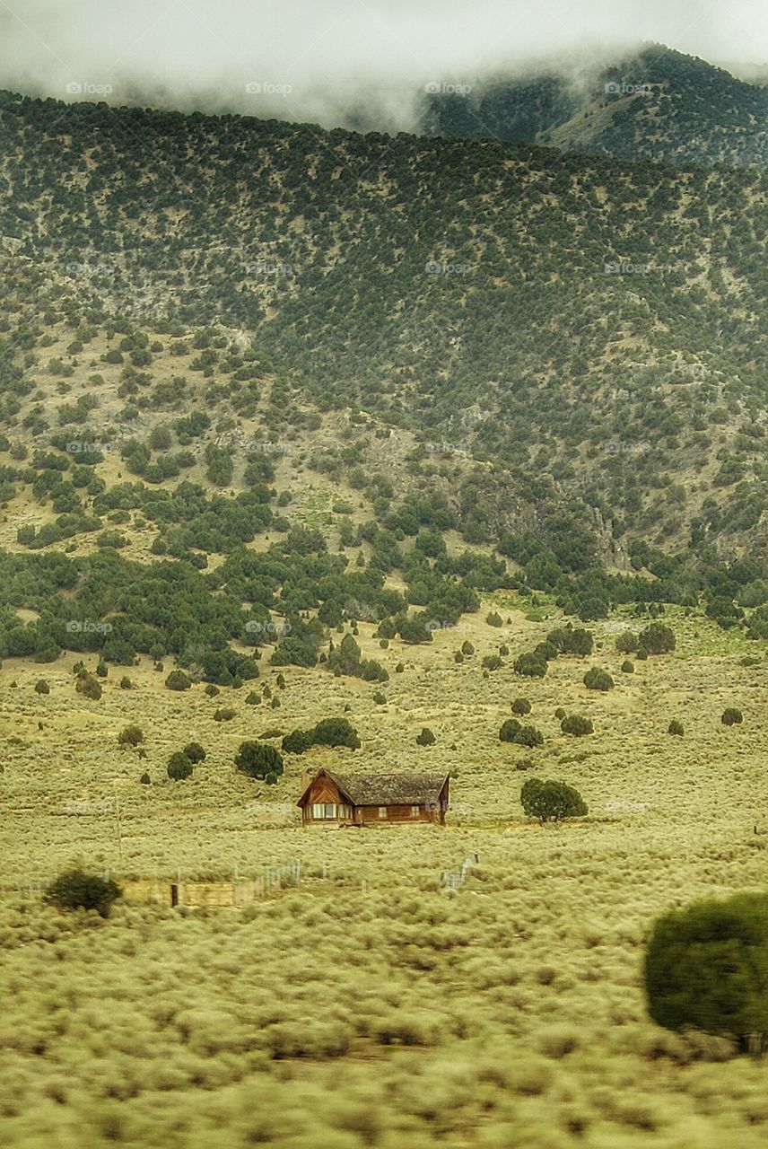 agriculture