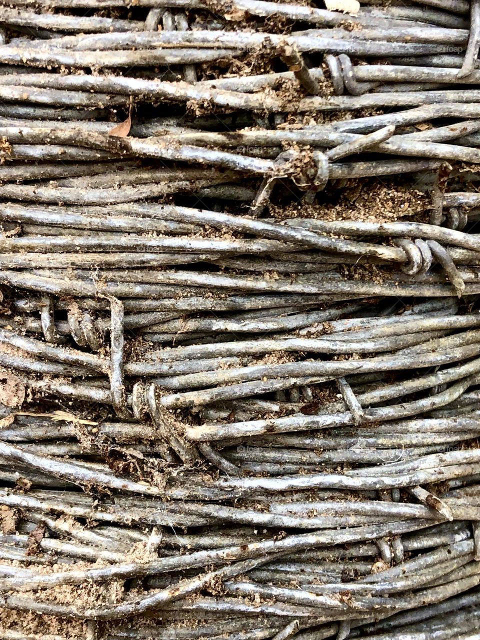 Multiverse. Closeup of bound barbed wire, waiting to be put to use on the fence line!