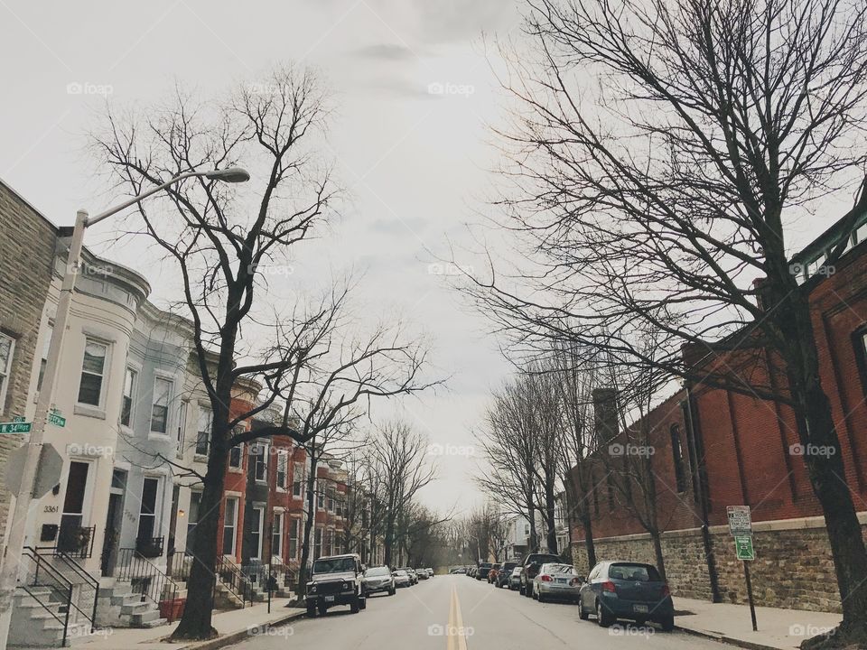 Winter street in Hampden Baltimore 