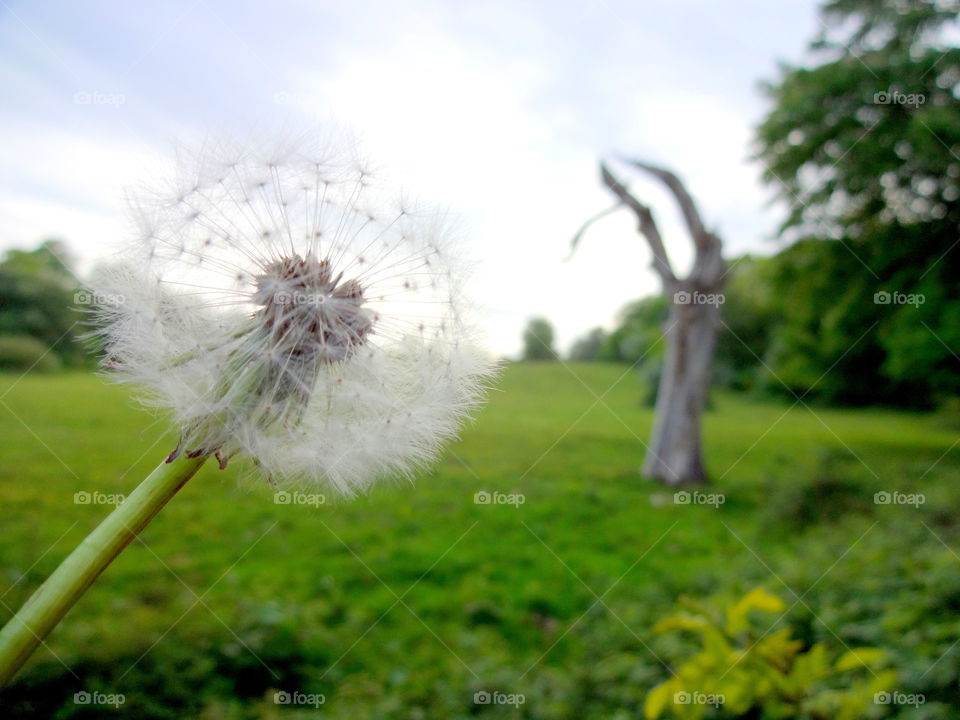 beautiful landscape