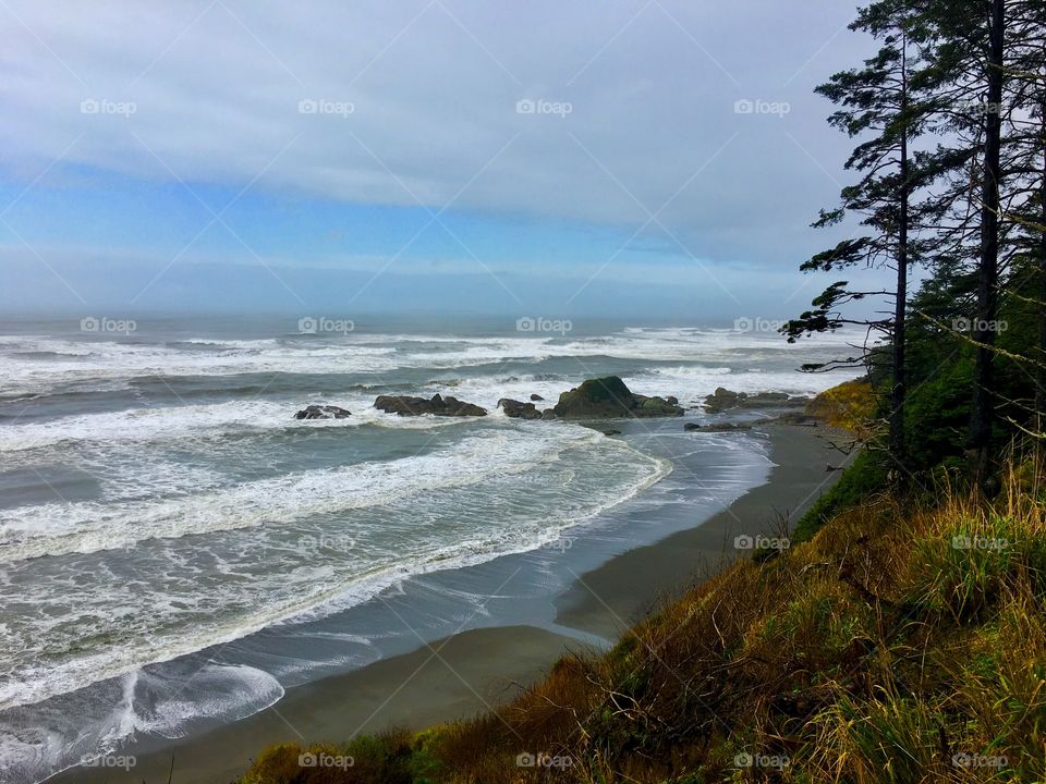 Beach, Pacific Ocean, Olympic Peninsula, Washington State 