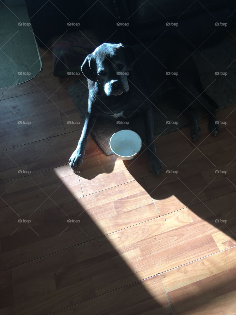 Thanks mom that was good stuff can I have more please! Finishing up clean up duty.