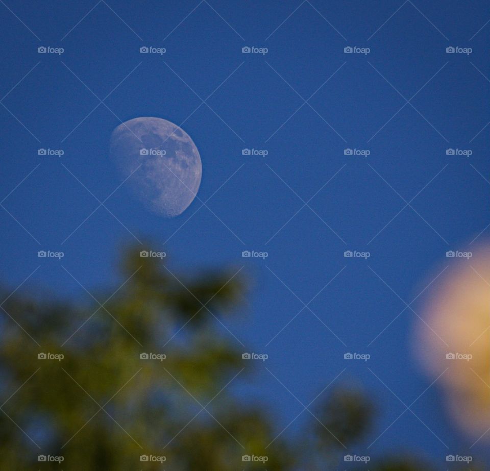 Three quarter moon on a clear night 
