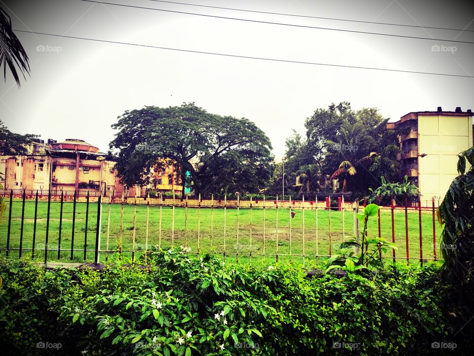 Green Vegetation 🥬🥬🍃🍃
Bothe Sode of Bars...
Heaven on The earth