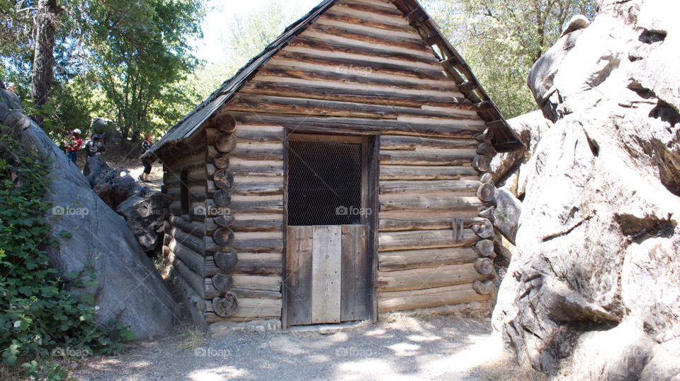 Log house