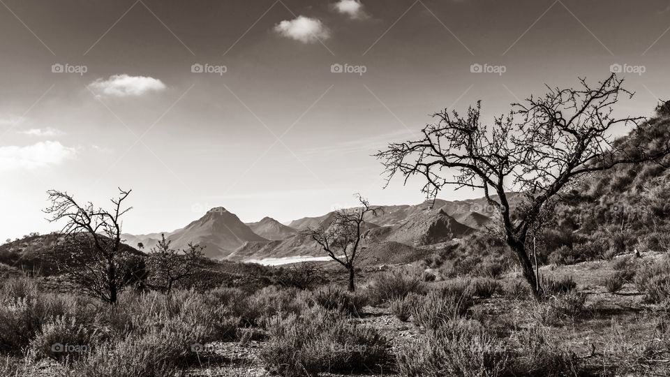 Deserted landscape in Andalusia Spain 